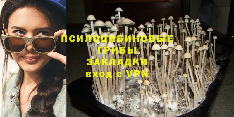 Галлюциногенные грибы Magic Shrooms  Велиж 